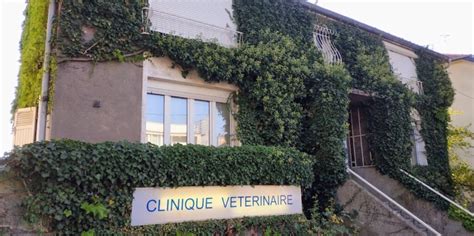 Clinique Vétérinaire Messine à Metz 